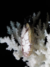 Magnésite Pendentif